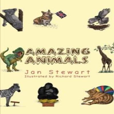 Amazing Animals by Jan Stewart Paperback Book 9781528947367