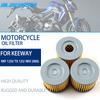 Motorcycle Engine Oil Filters Filtration For KEEWAY RKF 125i EFI Euro rkf 125 i TX 125/TX Supermoto 125 Strike 125 RKS 125 EFI