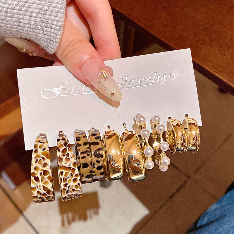 

5Pair Geometric Earrings Elegant Leopard Print Earrings Fashionable Earrings Set Versatile For Office Wear Gift Women Fashion