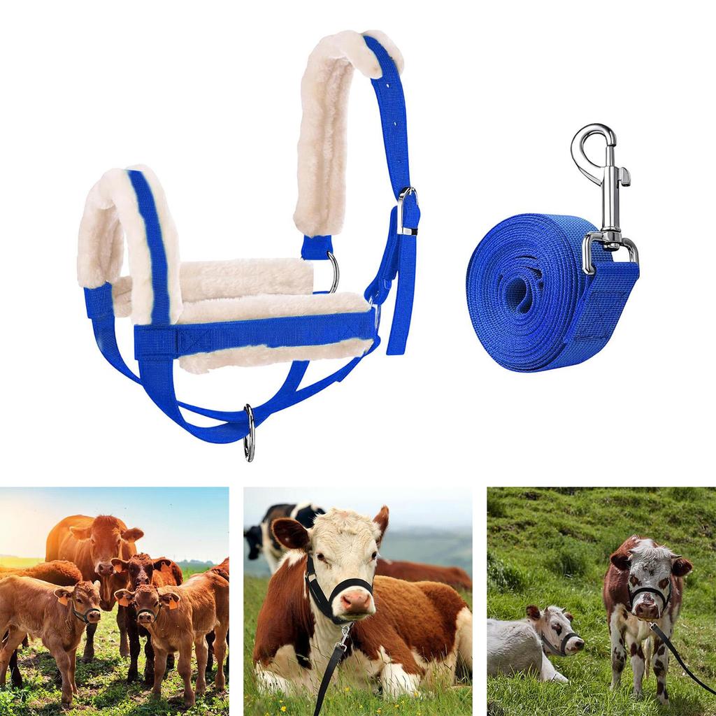 Cattle Bridle And Leading Rope, Calf Bridle, Multi-functional Barn Essential, Male Reins for Horses