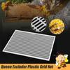 Insecte – Apicultură