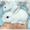 Coniglietto Morbido Carino Giocattolo da Spremere Morbido Kawaii Piccolo Coniglio Bianco Giocattolo Fidget Anti Stress Rilascio Mano Rilassamento Giocattolo Regalo