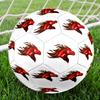 1PC Horse Logo Soccer Ball Size 5 Football Machine Sewn Indoor/Outdoor Universal Football Surprise Collection N106