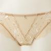 Wacoal Tulle Lace Panty European Sensation[dpt0464s]