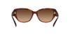 Coach Sunglasses HC8362U CH563 Caramel Tortoise Gradient Lens 57 Frame/Brown