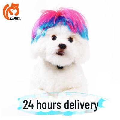 Parrucca di Halloween per Animali Domestici: Divertente Accessorio per Capelli Rosa e Blu