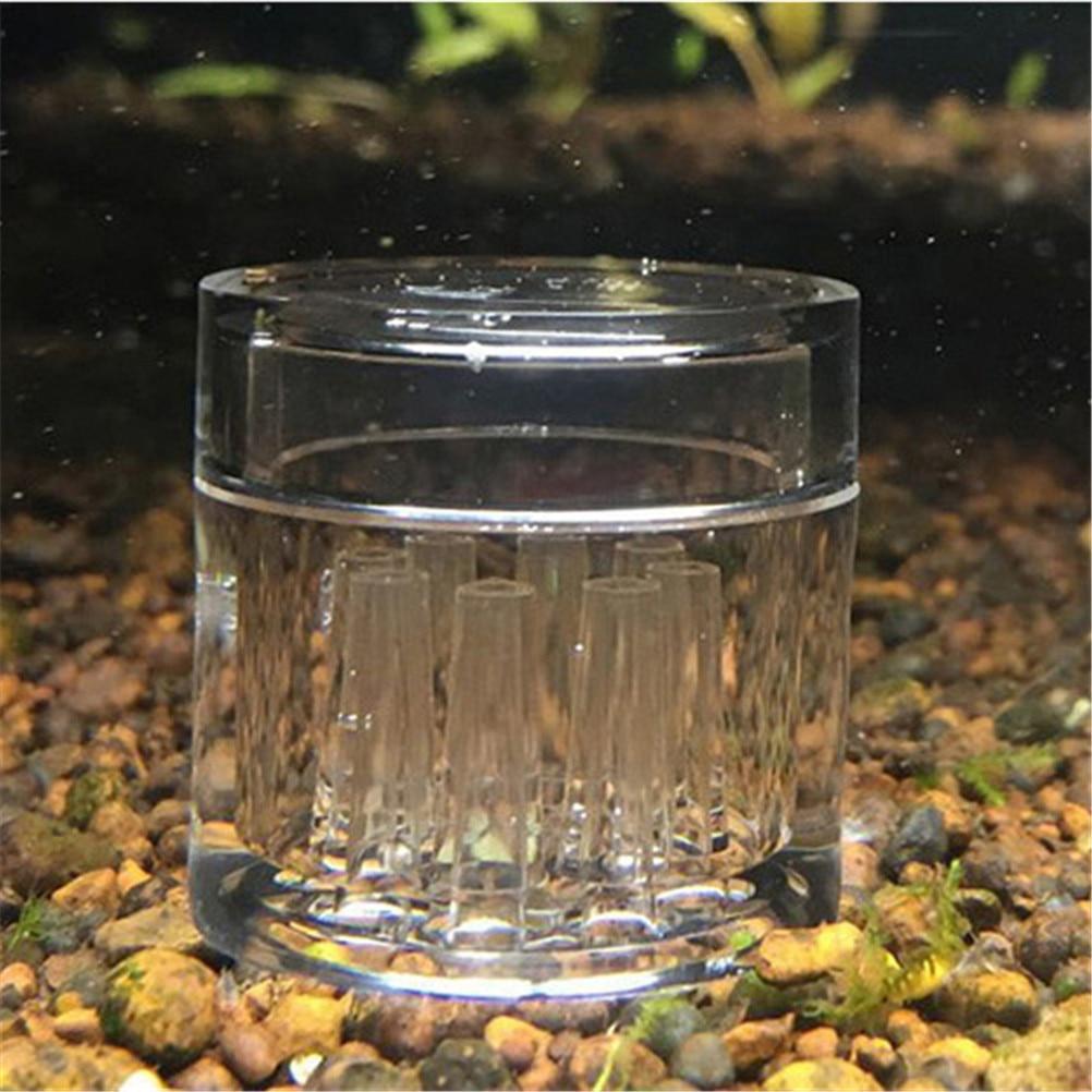 

Snail Trap Transparent Leech Vivarium Planarian Pest Catch Pen red bee shrimp Worm Bait Feeding Box Aquarium Cleaner Tool