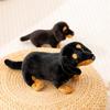 26cm/36cm Sitting Black Sausage Dog Doll Stuffed Animal Dachshund Hugging Pillow Home Ornament Birthday Gifts
