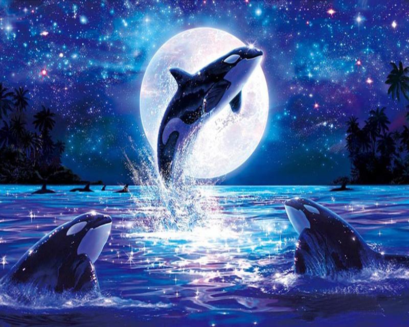 5D DIY Diamond Painting Dolphins Landscape Diamond Embroidery Cross Stitch Sea Animal Pictures Of Rhinestones Mosaic Home Decor