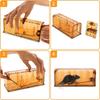 Small Mouse Mouse Expandable Easy To Set Clear Color for Easy Capture Trap, Step-Type Trap, Repellent, Size, Up, Reusable, (Brown, 4-Pack)