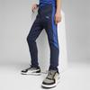 Puma EVOSTRIPE DK boys' sweatpants navy blue 67919814 size 164