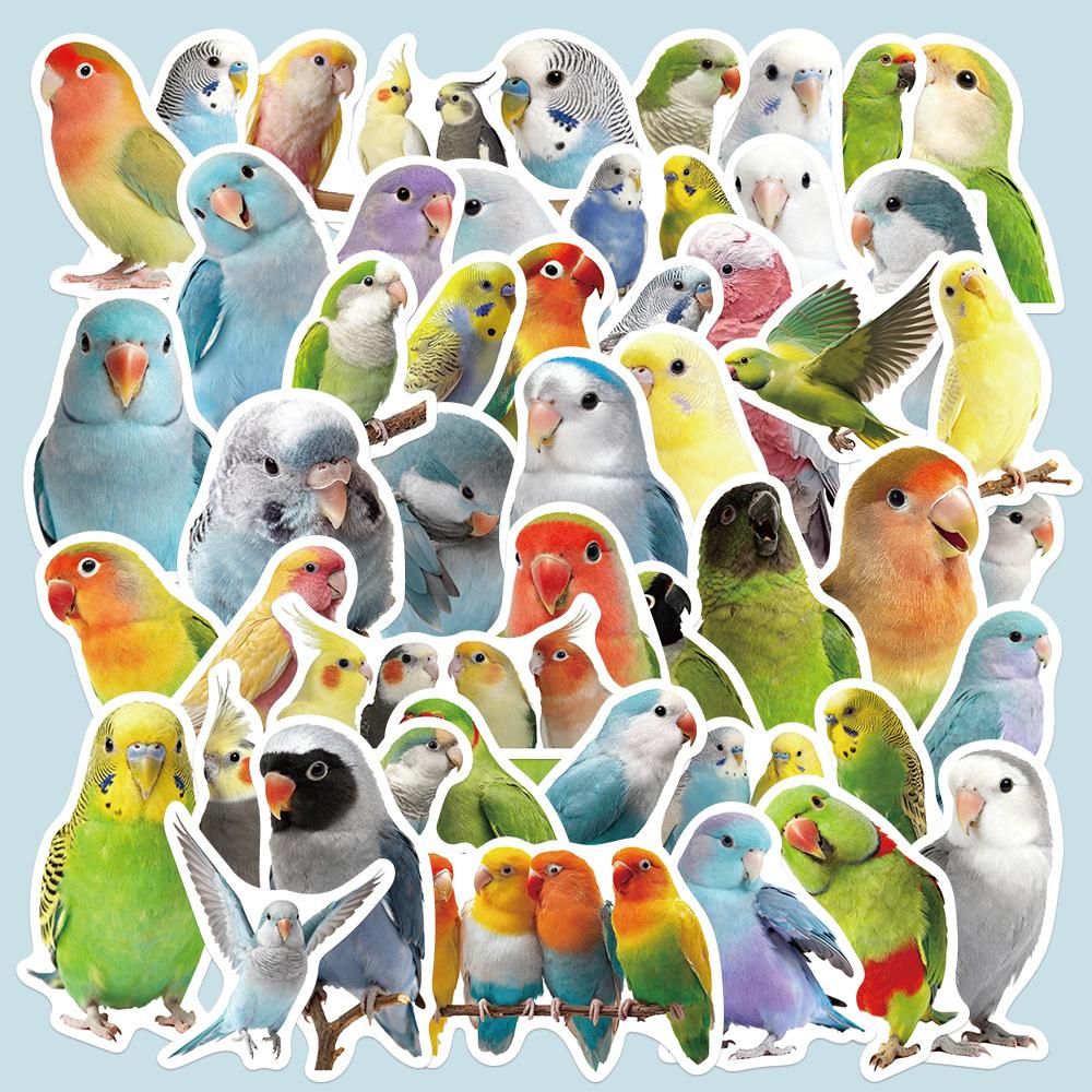 50Pcs/Set Parrot Series 03 Waterproof Stickers DIY Fashion Doodle Decals Stickers