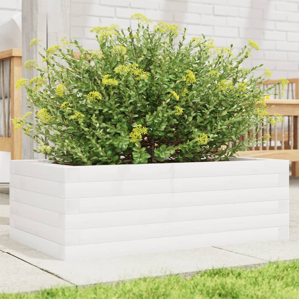 Plant Pot White 70x40x23 Cm Solid Pine Wood