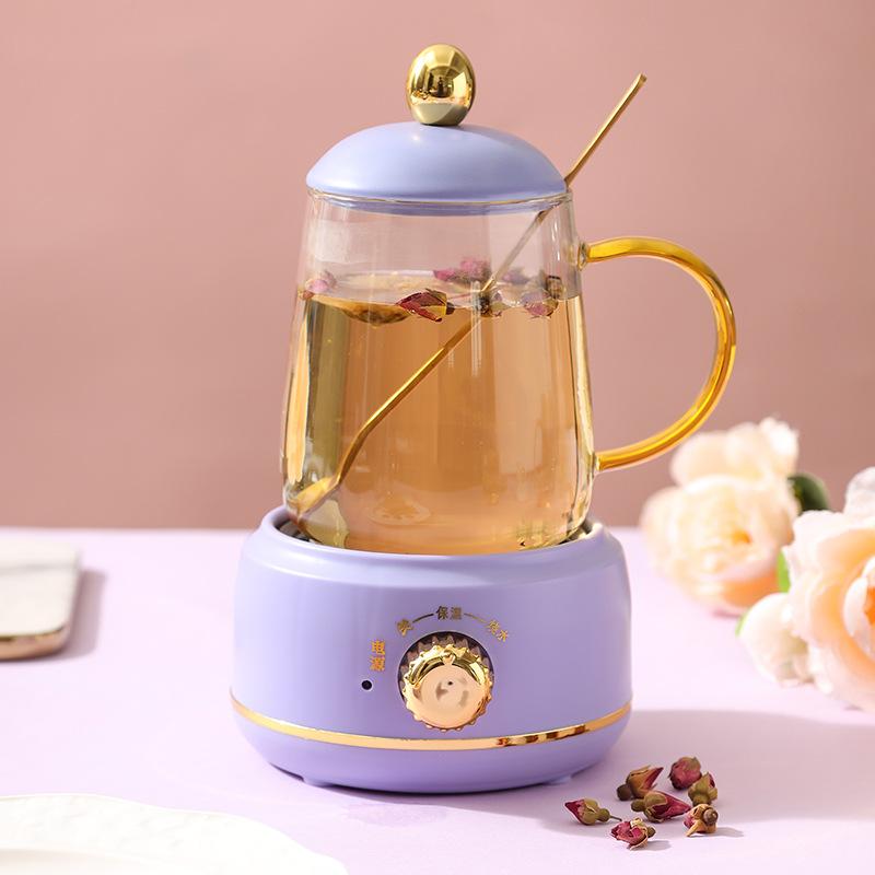 0.4-0.6L Health Pot, Office Small Tea Maker, Household Mini Health Cup, Tea Stove, Flower Boiling Tea Pot 220V