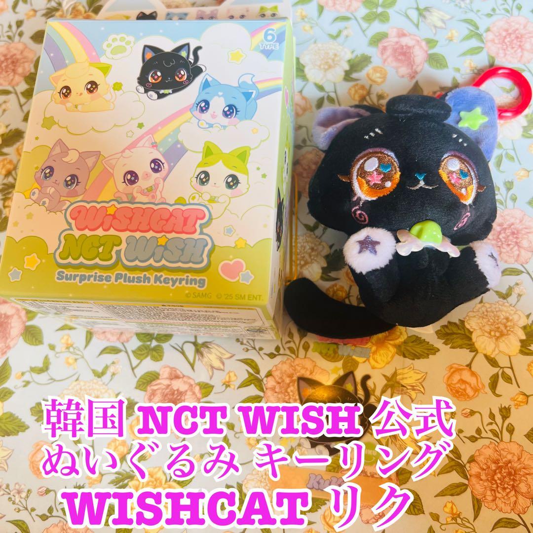 [USED] Korean NCTWISH Official WISHCAT Plush Keyring Riku