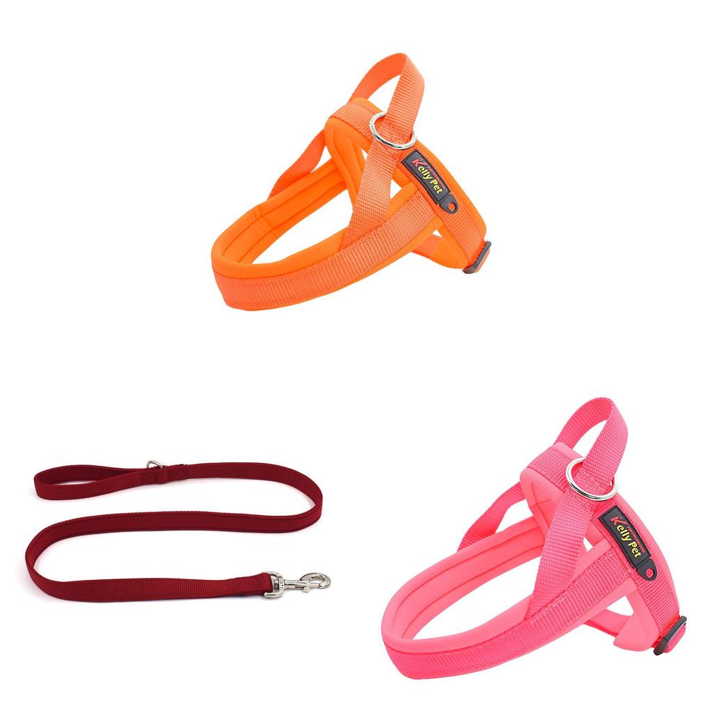 Kellypet Pet Harness And Leash Set With Adjustable Nylon For Small Dogs