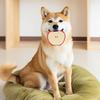 Pet Toy Fruit Shape Dog Chew Toy Soft Latex Bite Resistant Molar Teeth Cleaning Dental Care Sound Making Interactive