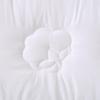 FUANNA Boya 100% Xinjiang Cotton Quilt