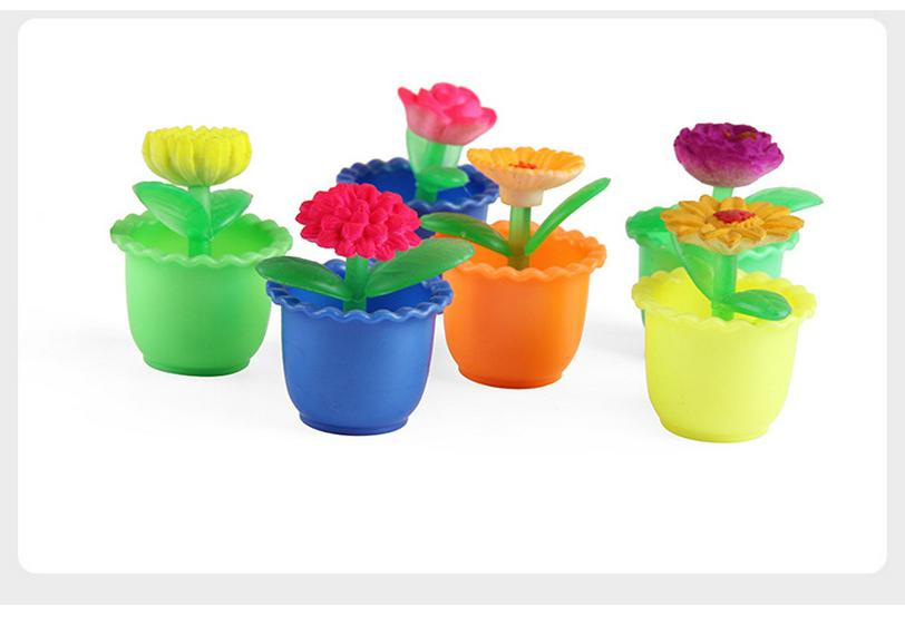 Water-Expanding Cactus Succulent Toys - Creative, Unique & Novel Gifts for Kids
