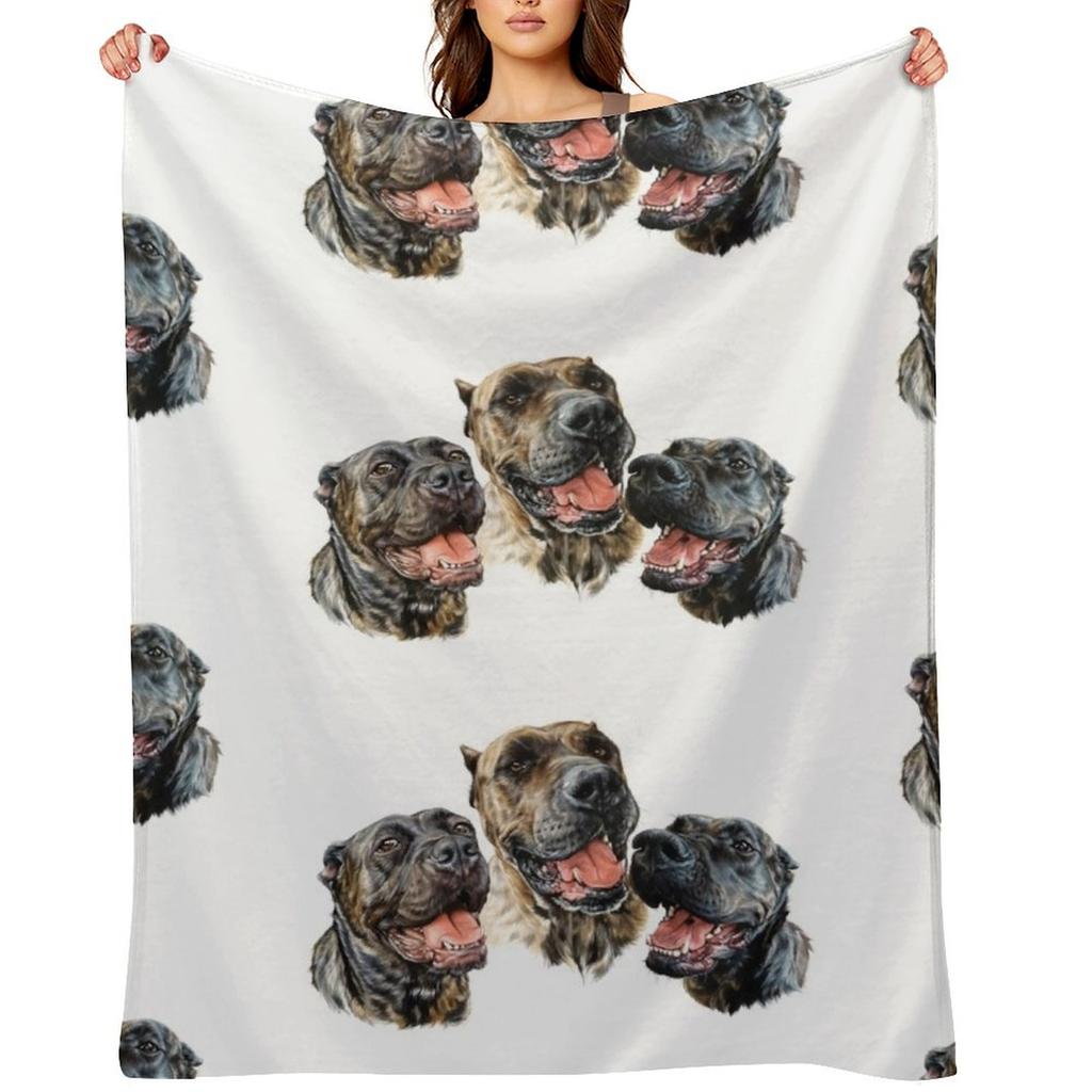 0542(2) Throw Blanket Sofa Throw Designers Warm Blankets and Throws Blankets