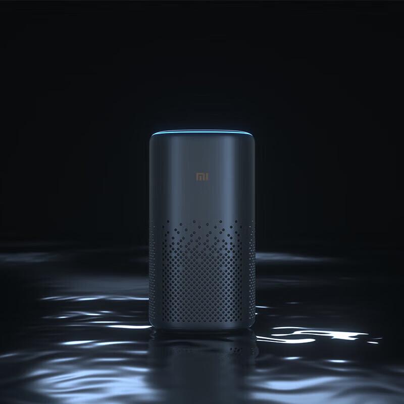 Xiaomi Xiaoai Smart Speaker Serie CN-Stecker (Adapter enthalten) (CN-Version)