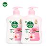 Nourish & Protect Antibacterial Hand Wash