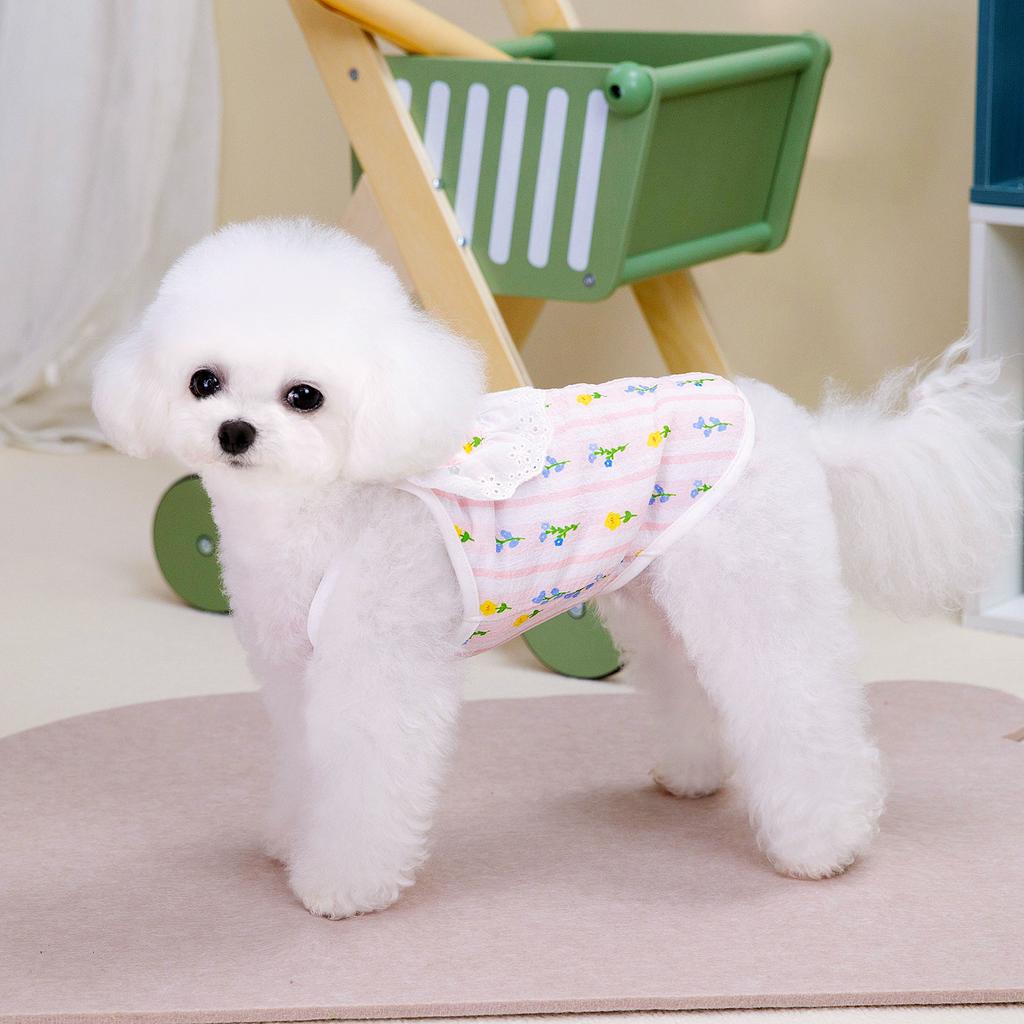 Pet dog summer new pastoral cute little fresh cherry lace suspender teddy bear small dog clothing