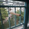 Kuş – Kuşlar için oyuncaklar
