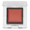 ADDICTION The Eyeshadow Tint 1g 001T Altamira