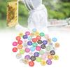 50Pcs Bright Colorful Round Number Labels ABS Number Labels Plastic Number Labels  Beekeeping