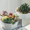 1pc-Simple Flower Pot Set Planter Succulent Plants Large Opening Bottom Tray Indoor Flowerpot Household Durable Holder
