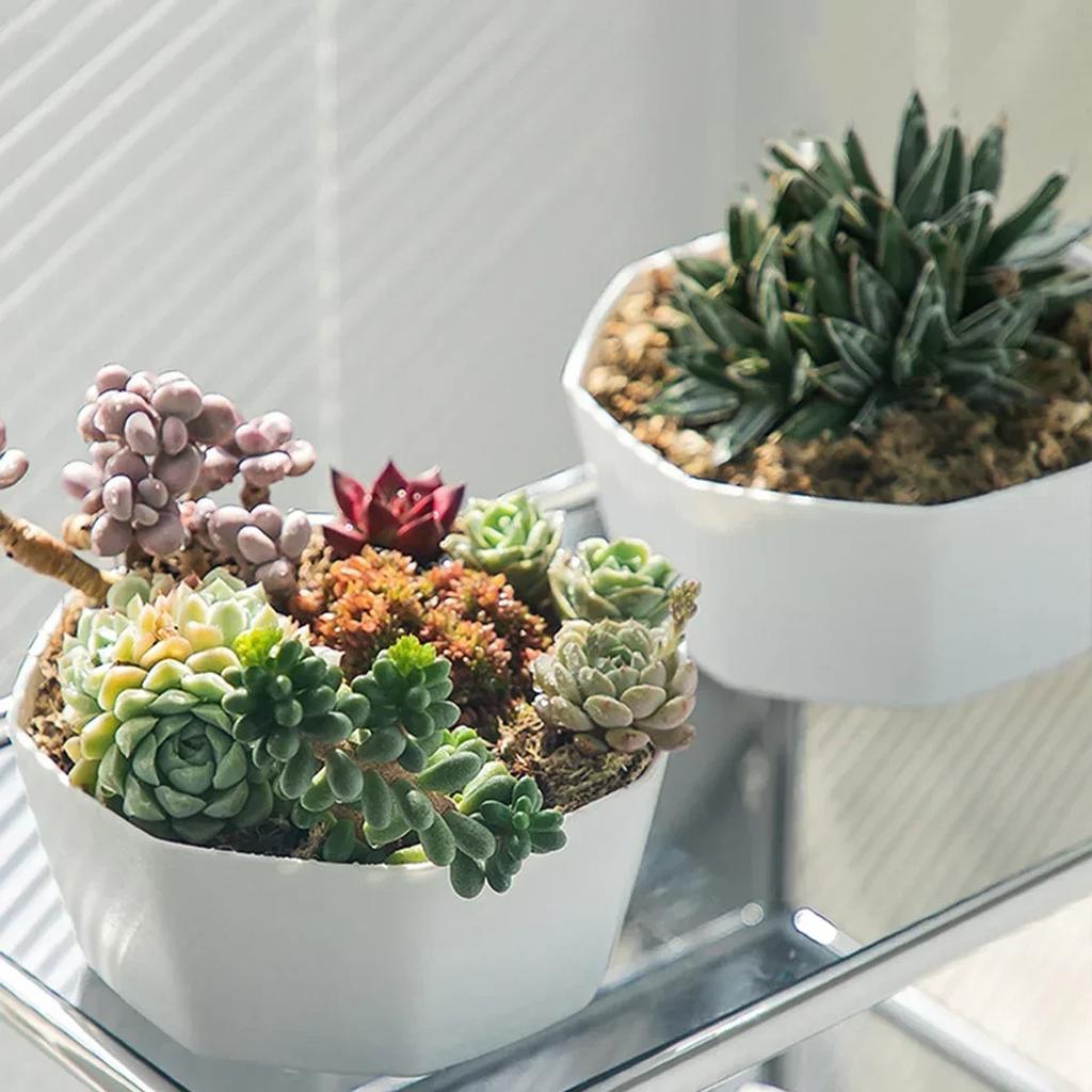 1pc-Simple Flower Pot Set Planter Succulent Plants Large Opening Bottom Tray Indoor Flowerpot Household Durable Holder