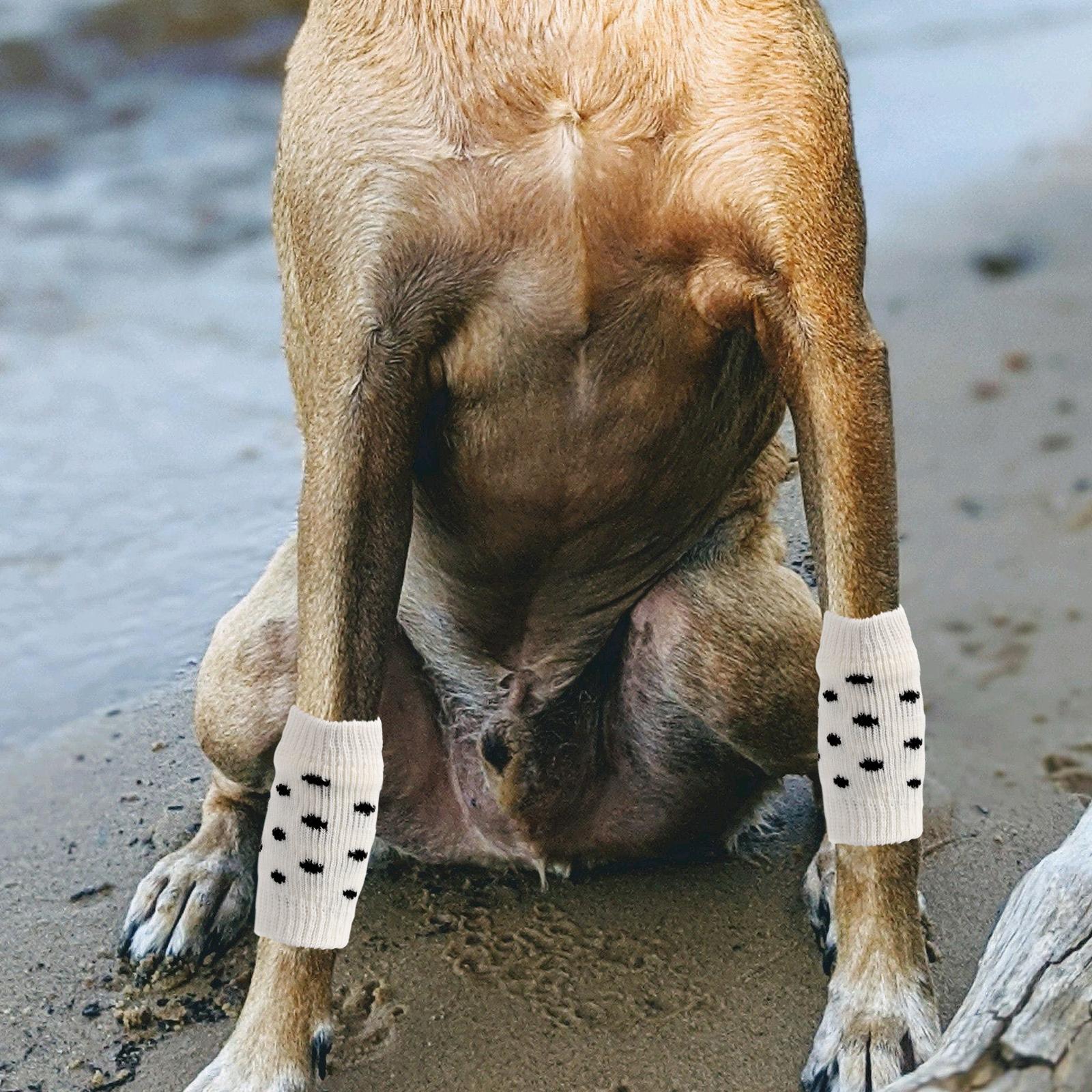 

4Pcs Pet Leg Warmers Dog Socks Knitted Leg Warmer Wraps Stylish and Cozy Winter Protection for Pets M Dog Hock Covers 8X4X0.7CM