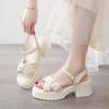 thick-soled cross-strap fairy wind sandals for women 2025 summer new thick heel outer wear one-button Roman sandals for women
