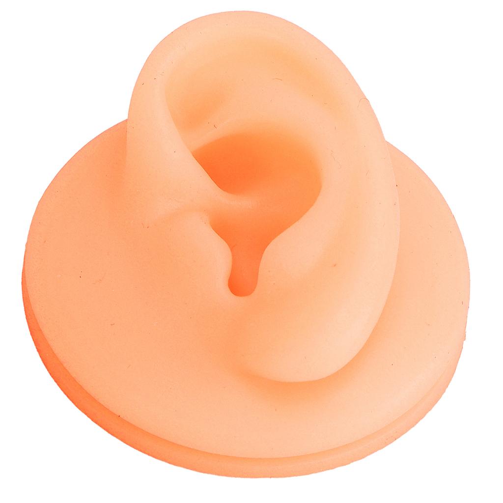 Silicone Ear Acupuncture Practice Model Reusable Simulation Ear Display Model False Ear Model