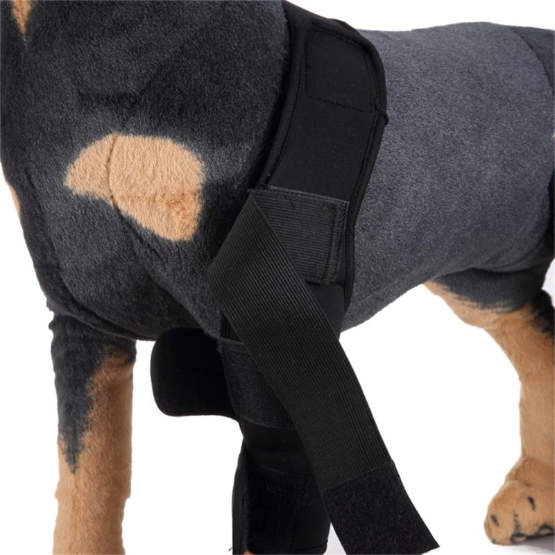 Dog Knee Guard Dog Elbow Sleeve Protector Dog Leg Brace Front Wrist Dog Knee Cover Anti Licking Wound Dog Recovery Leg C
