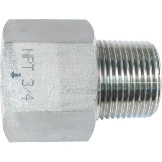 

ASOH Stainless Steel Conversion x Socket, PT3/4 NPT3/4 (NF8366)
