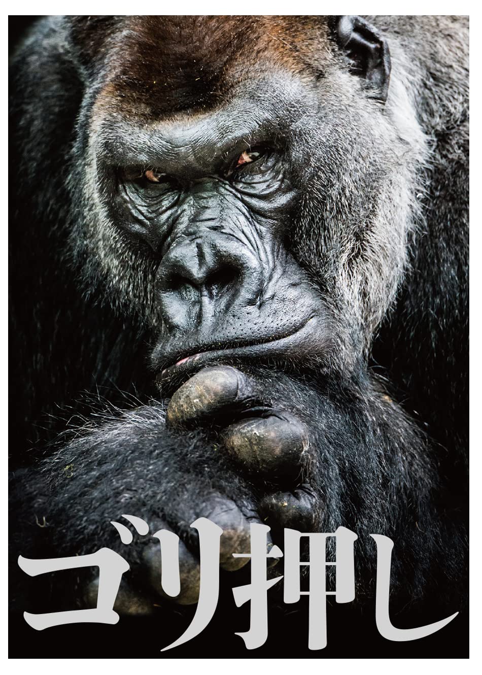 

Tenese Sheets Handsome Gorilla Sleeves 60 листов [Gori Push]