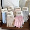 Thickened Plush Woolen Gloves Touchscreen Function Knitted Gloves New Fleece Mittens  Autumn Winter