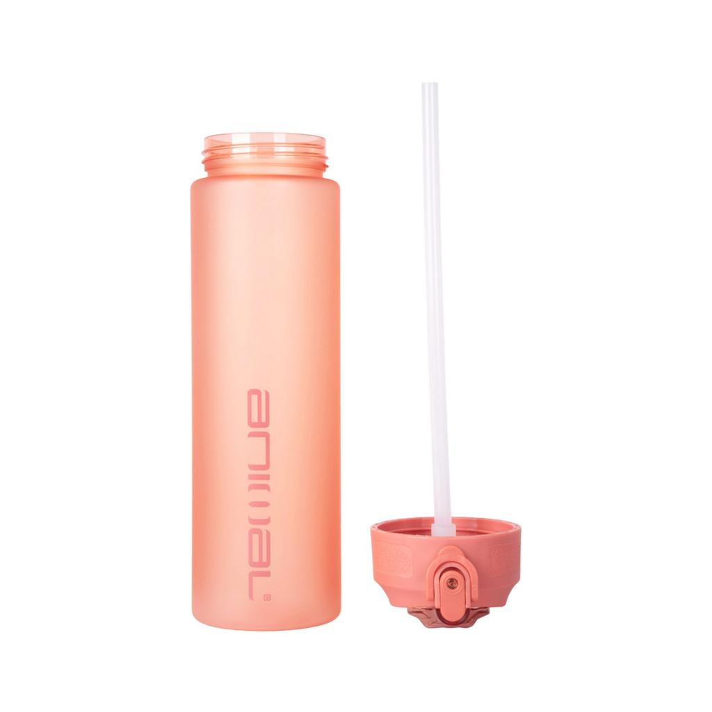 Animal Straw 700ml Water Bottle