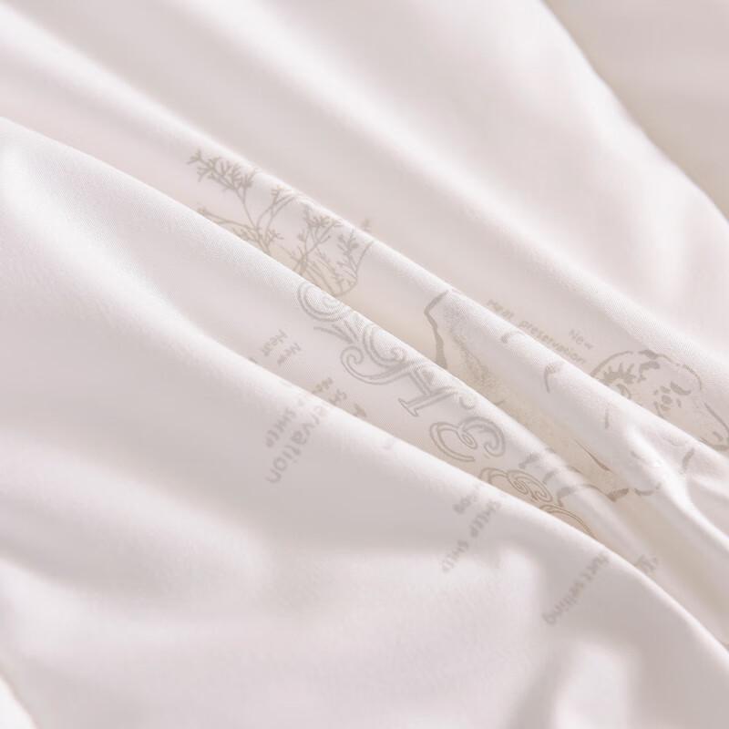 Conch Home Warm Polyester Fiber Quilt