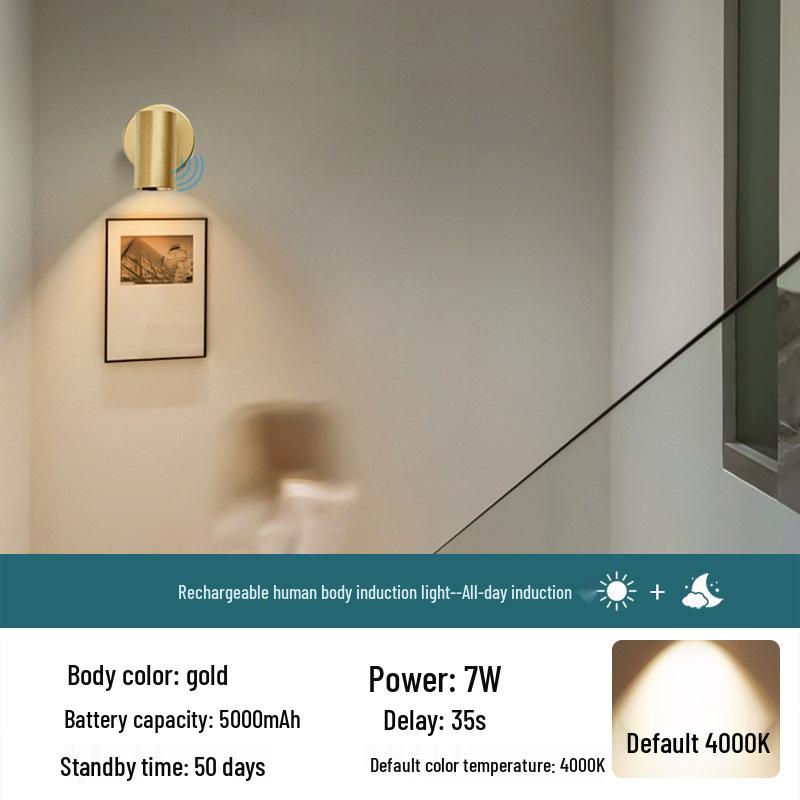 Rechargeable Motion-Activated Voice-Control Wall Spotlight