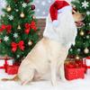 1PC Cute Christmas Dog Hat with Lion's Mane Cosplay Santa Claus Costumes Realistic Lion Wig for Pet Dog with Ear Pet Accessories