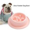 Pet Feeding Bowl Non-Slip Easy To Clean Safe Anti-Choking Cat Dog Slow Food Feeder Bowl Pet Supplies