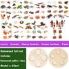 Life Cycle Board Montessori Kit Biology Science Education Toys for Kids Sensory Tray Animal Figure Life Cycle Sorting Wooden Toy