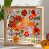 Double Sided Transparent Wooden Photo Frames,3D Acrylic Display Board,Thick Dual-Layer,Embossed DIY Wooden Frame Acrylic Inserts