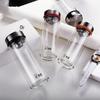Saino Double-Layer Borosilicate Glass Tea & Water Bottle with Infuser