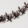 Dr Ska Spine Bracelet