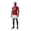 Canterbury Mens 2025 British & Irish Lions Rugby Jersey