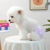 Protecting Female Dogs Physiological Pants for Small Dogs Stripe Pet Underpants with Lace Pomeranian Yorkshire Safety Shorts